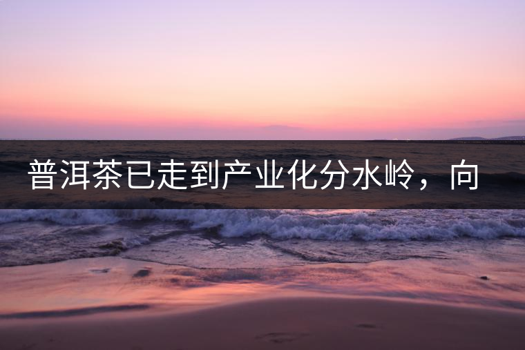 普洱茶已走到產(chǎn)業(yè)化分水嶺，向左還是向右？