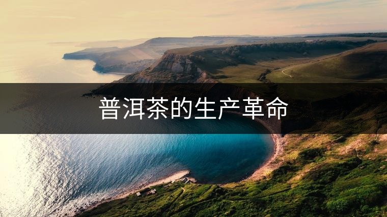 普洱茶的生產(chǎn)革命