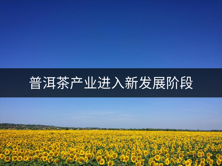 普洱茶產(chǎn)業(yè)進(jìn)入新發(fā)展階段 普洱茶產(chǎn)業(yè)進(jìn)入新發(fā)展階段