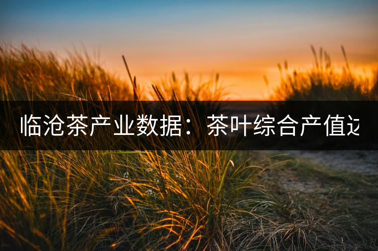 臨滄茶產(chǎn)業(yè)數(shù)據(jù):茶葉綜合產(chǎn)值達(dá)80.03億元 臨滄茶產(chǎn)業(yè)數(shù)據(jù):茶葉綜合產(chǎn)值達(dá)80.03億元