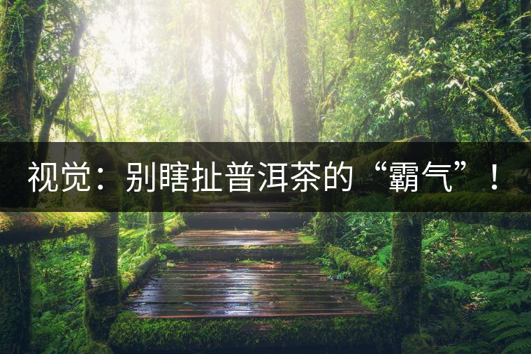 視覺(jué)：別瞎扯普洱茶的“霸氣”！偽大師！