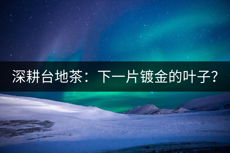 深耕臺地茶：下一片鍍金的葉子？