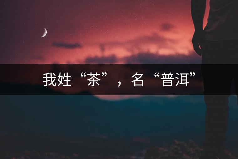 我姓“茶”，名“普洱”