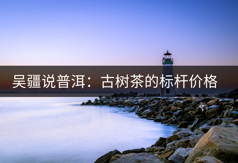 吳疆說(shuō)普洱：古樹(shù)茶的標(biāo)桿價(jià)格在哪里？