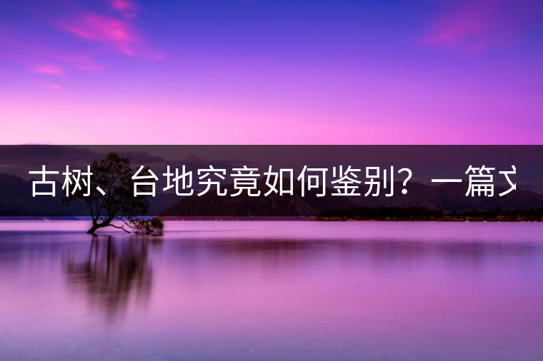 古樹、臺地究竟如何鑒別？一篇文章說透！