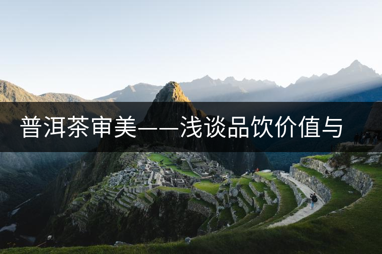 普洱茶審美——淺談品飲價值與陳化價值