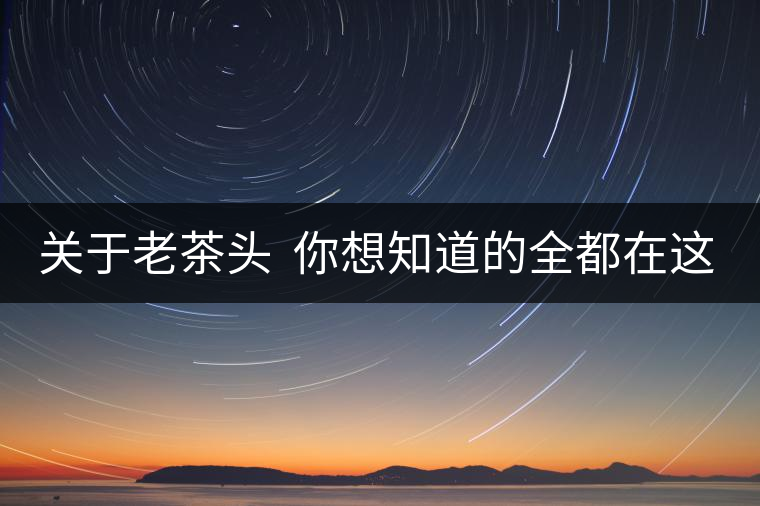 關于老茶頭  你想知道的全都在這兒啦！
