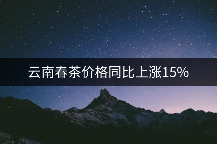 云南春茶價格同比上漲15% 云南春茶價格同比上漲15%