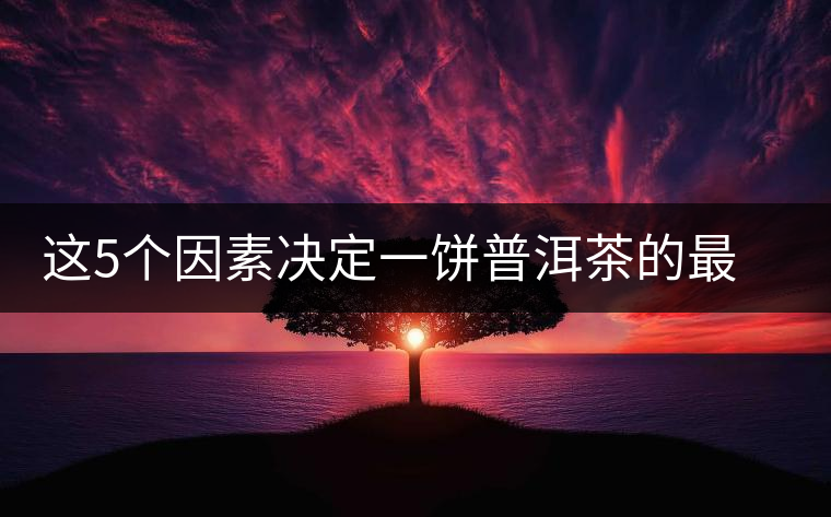 這5個因素決定一餅普洱茶的最后價格 這5個因素決定一餅普洱茶的最后價格