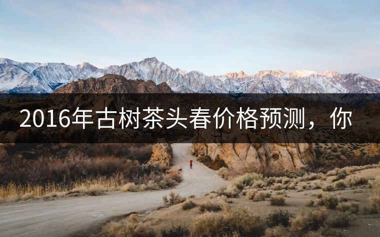 2016年古樹茶頭春價(jià)格預(yù)測(cè)，你怎么看？