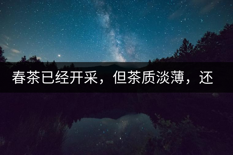 春茶已經(jīng)開采，但茶質(zhì)淡薄，還需一兩周