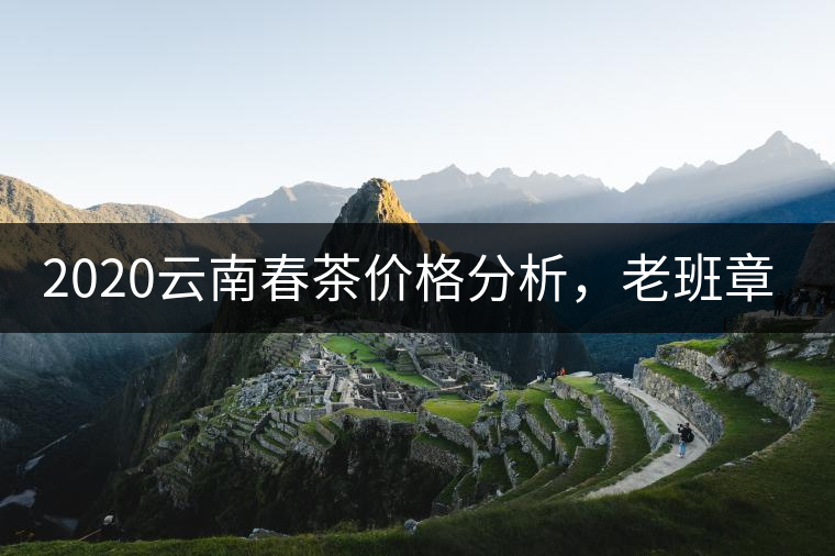 2020云南春茶價(jià)格分析，老班章依然將獨(dú)占鰲頭？
