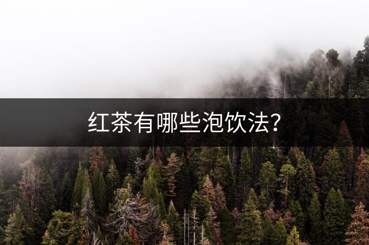 紅茶有哪些泡飲法？