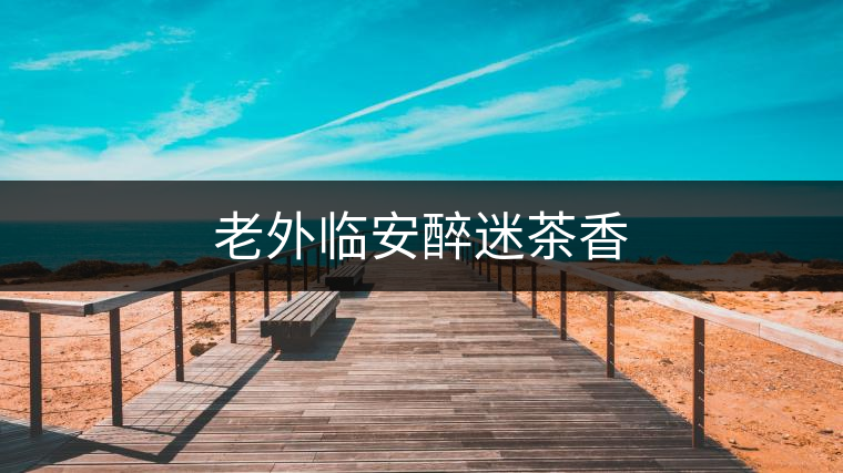 老外臨安醉迷茶香