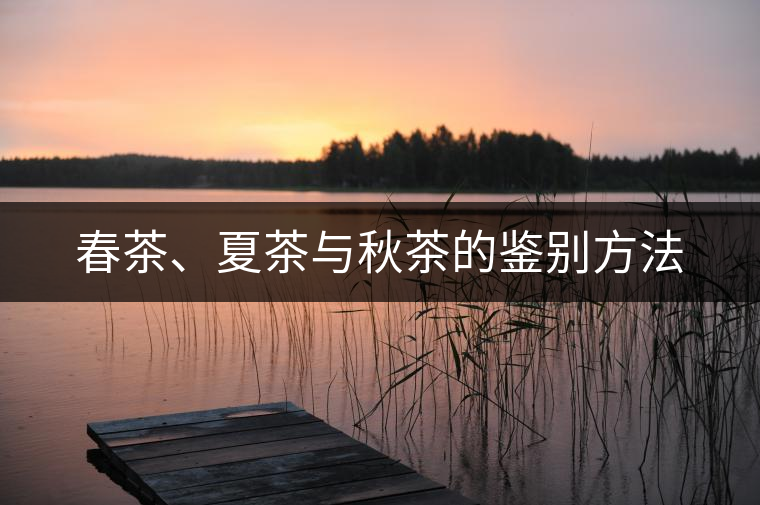 春茶、夏茶與秋茶的鑒別方法 春茶、夏茶與秋茶的鑒別方法