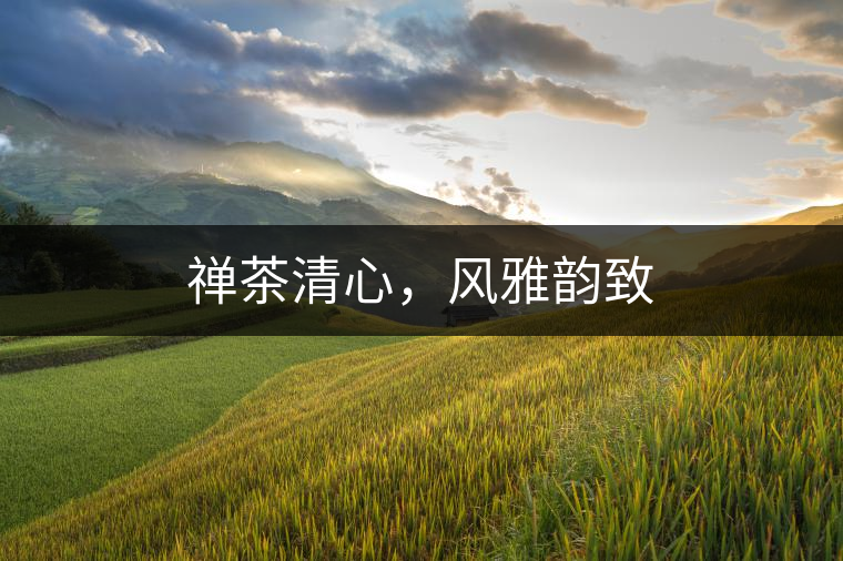 禪茶清心，風(fēng)雅韻致