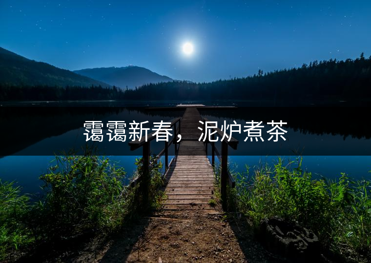 靄靄新春，泥爐煮茶