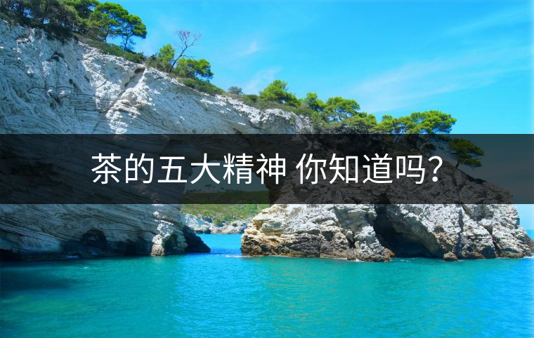 茶的五大精神 你知道嗎？