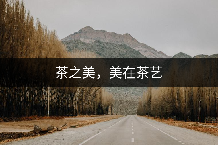 茶之美，美在茶藝