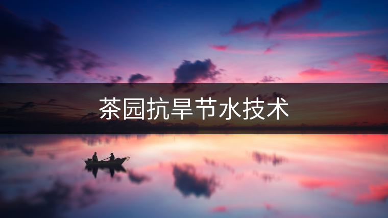 茶園抗旱節(jié)水技術 茶園抗旱節(jié)水技術