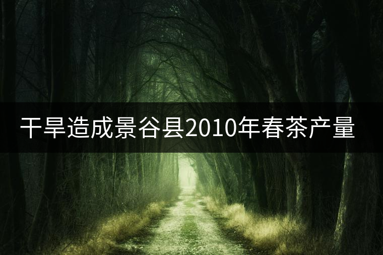 干旱造成景谷縣2010年春茶產(chǎn)量減少 干旱造成景谷縣2010年春茶產(chǎn)量減少