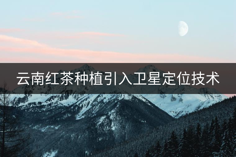 云南紅茶種植引入衛(wèi)星定位技術(shù) 云南紅茶種植引入衛(wèi)星定位技術(shù)