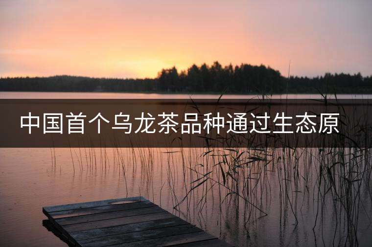 中國首個(gè)烏龍茶品種通過生態(tài)原產(chǎn)地產(chǎn)品保護(hù)現(xiàn)場評(píng)定 中國首個(gè)烏龍茶品種通過生態(tài)原產(chǎn)地產(chǎn)品保護(hù)現(xiàn)場評(píng)定