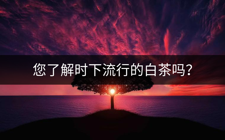 您了解時下流行的白茶嗎？