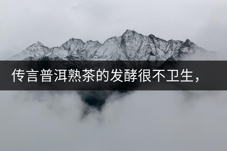 傳言普洱熟茶的發(fā)酵很不衛(wèi)生，是真的嗎？
