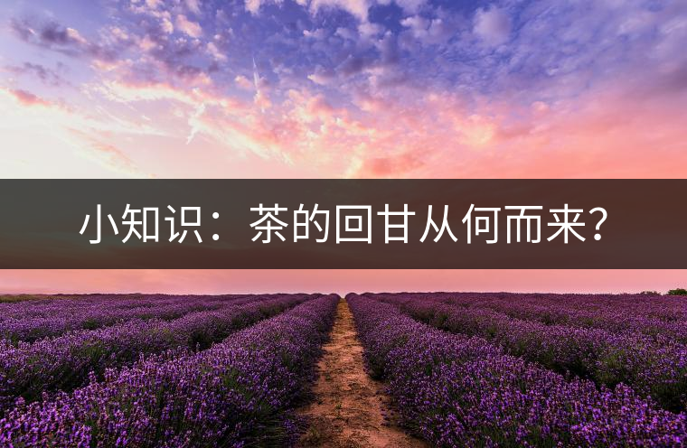 小知識(shí)：茶的回甘從何而來(lái)？