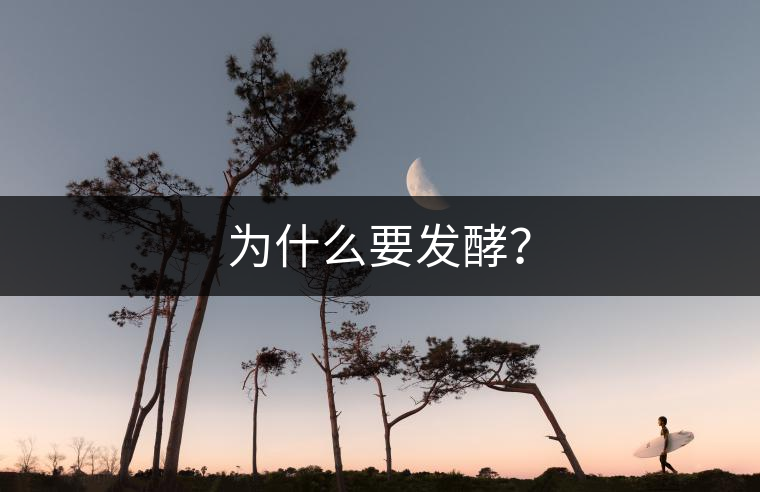 為什么要發(fā)酵？