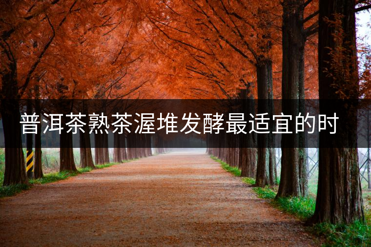 普洱茶熟茶渥堆發(fā)酵最適宜的時(shí)期是什么時(shí)候？