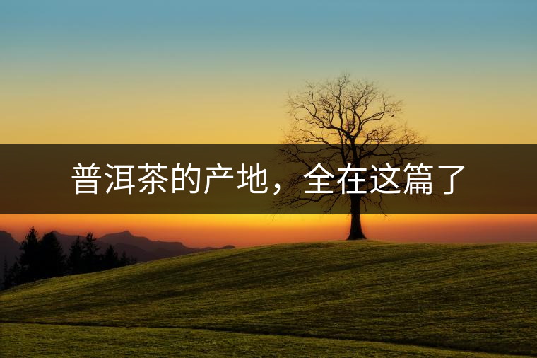 普洱茶的產(chǎn)地,全在這篇了 普洱茶的產(chǎn)地,全在這篇了