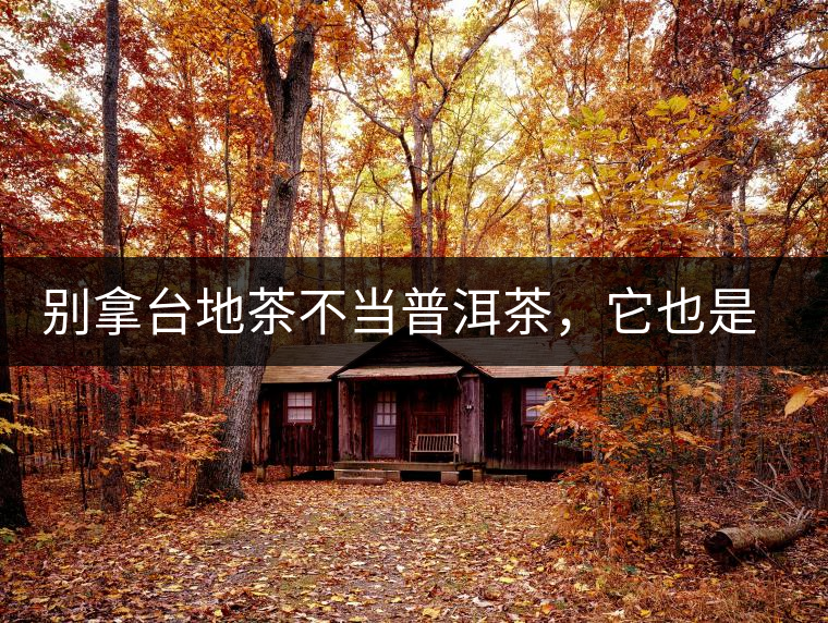 別拿臺(tái)地茶不當(dāng)普洱茶，它也是大葉種喬木