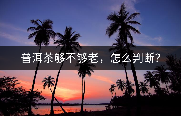 普洱茶夠不夠老，怎么判斷？