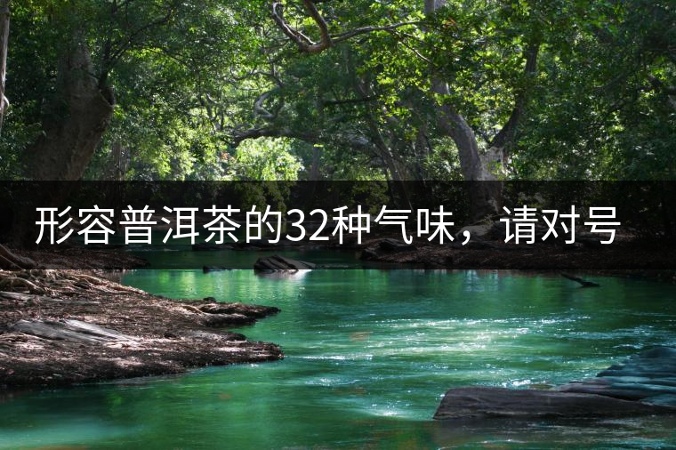 形容普洱茶的32種氣味，請(qǐng)對(duì)號(hào)入座