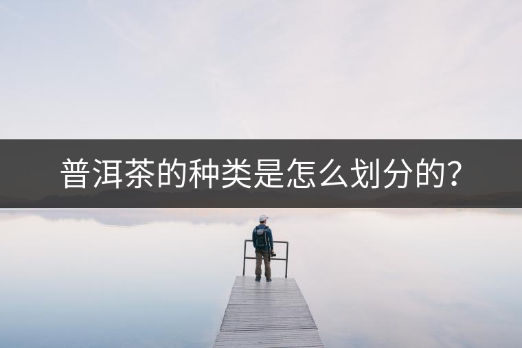 普洱茶的種類是怎么劃分的？