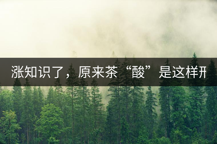 漲知識了，原來茶“酸”是這樣形成的！