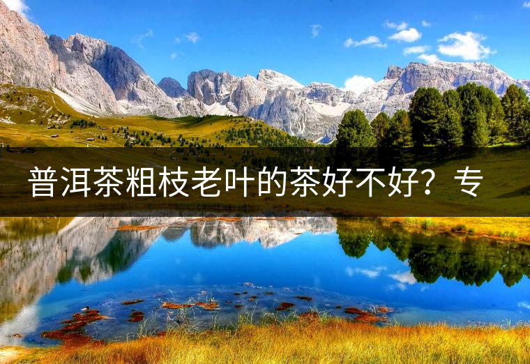 普洱茶粗枝老葉的茶好不好？專家說了不算，喝茶的你說了才算