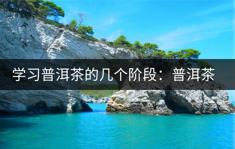 學(xué)習(xí)普洱茶的幾個階段:普洱茶愛好者進(jìn)階過程 學(xué)習(xí)普洱茶的幾個階段:普洱茶愛好者進(jìn)階過程