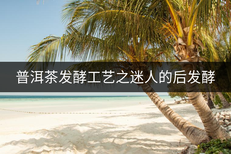 普洱茶發(fā)酵工藝之迷人的后發(fā)酵 普洱茶發(fā)酵工藝之迷人的后發(fā)酵