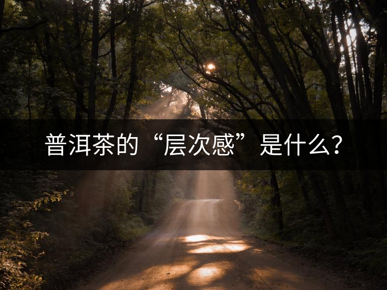 普洱茶的“層次感”是什么？