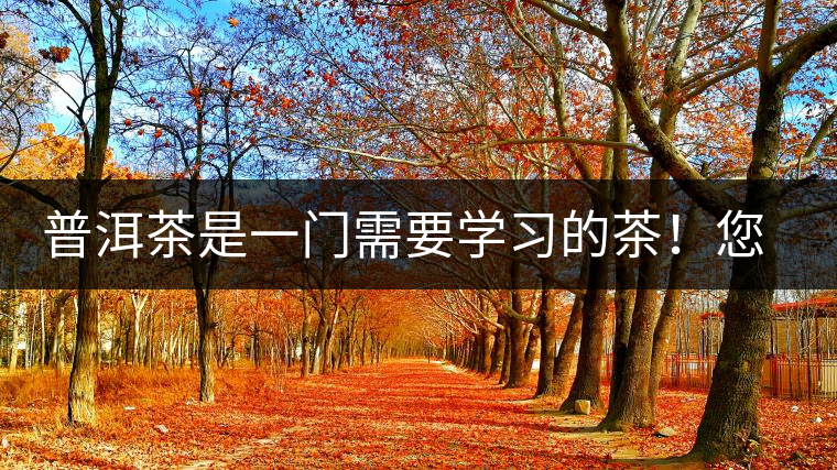 普洱茶是一門需要學(xué)習(xí)的茶！您學(xué)到了多少？看看專家怎么說