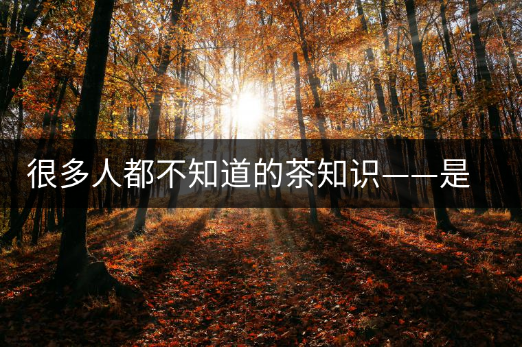 很多人都不知道的茶知識——是什么造就了普洱茶的一山一味？