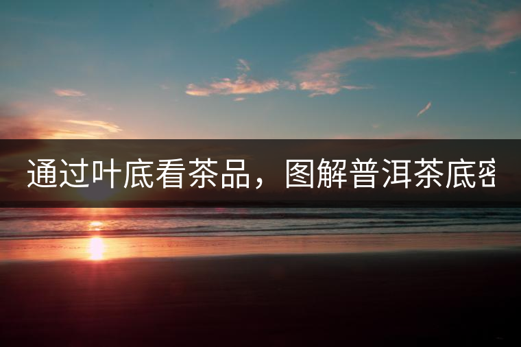 通過(guò)葉底看茶品，圖解普洱茶底密碼！