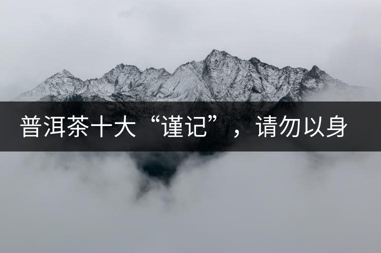 普洱茶十大“謹(jǐn)記”，請勿以身相試