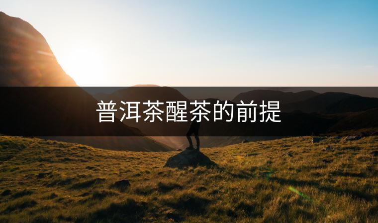 普洱茶醒茶的前提 普洱茶醒茶的前提
