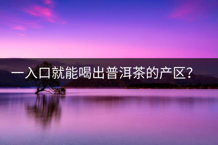 一入口就能喝出普洱茶的產(chǎn)區(qū)？怎么能不讀這篇文章呢？