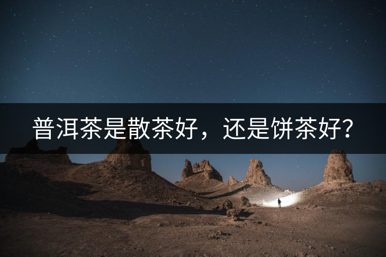 普洱茶是散茶好，還是餅茶好？