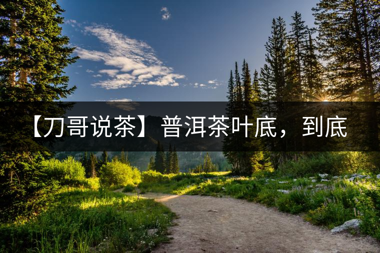 【刀哥說(shuō)茶】普洱茶葉底，到底藏有多少玄機(jī)？